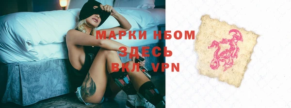 PSILOCYBIN Бородино