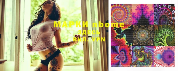 PSILOCYBIN Бородино