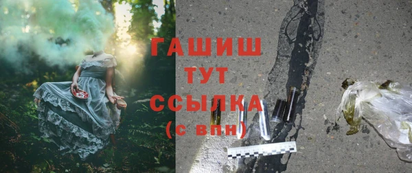 PSILOCYBIN Бородино