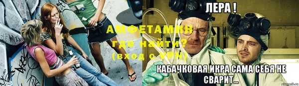 PSILOCYBIN Бородино