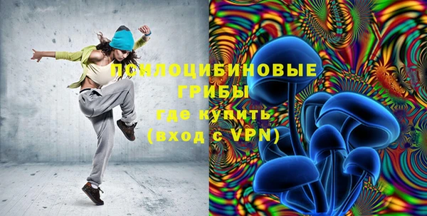 PSILOCYBIN Бородино