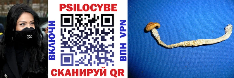 Псилоцибиновые грибы Psilocybine cubensis  Купить где  Сясьстрой 