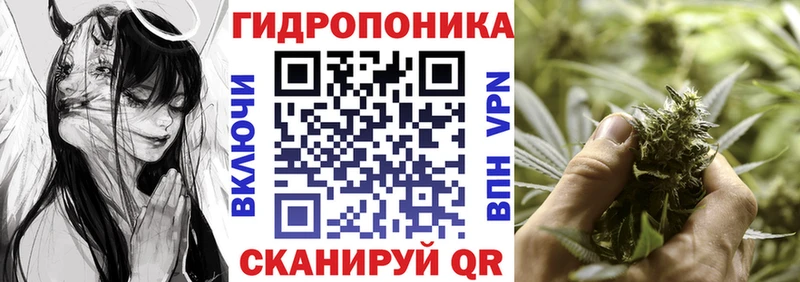 Шишки марихуана сатива  Купить  Сясьстрой 